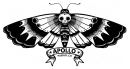 apollo-logo